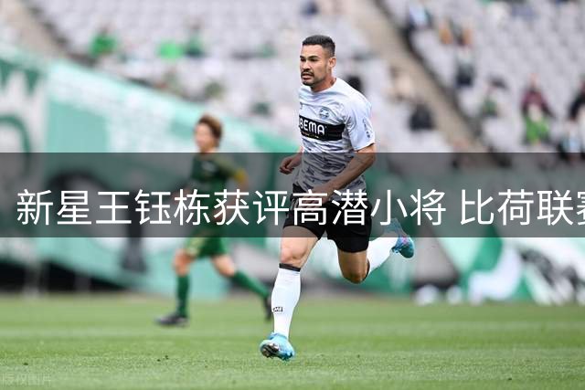 新星王钰栋获评高潜小将 比荷联赛或成留洋首选